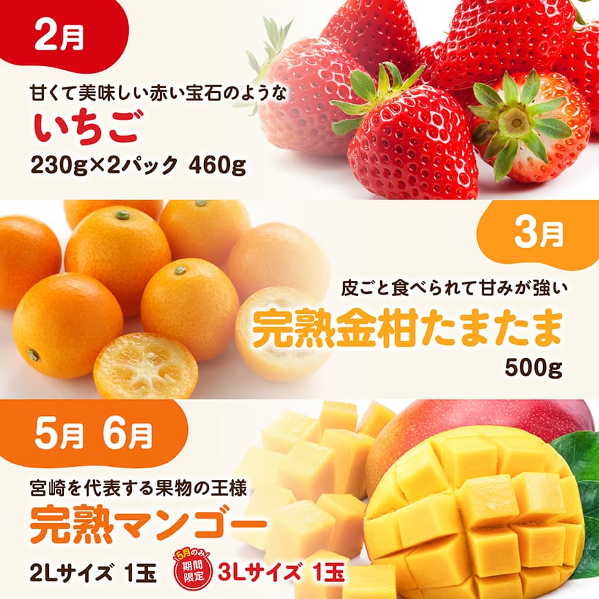 ※期間限定※【6ヶ月定期便】大人気くだもの定期便Vol.1 【 川南町産 くだもの いちご イチゴ きんかん マンゴー シャインマスカット ピオーネ  】[C11712t6]