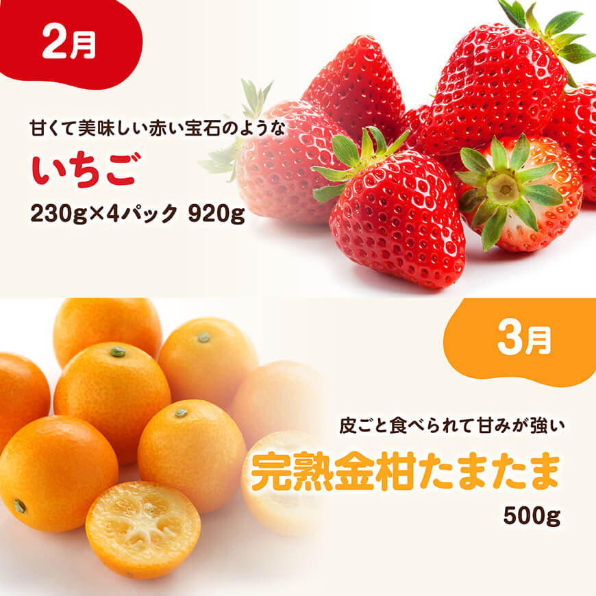 ※期間限定※【6ヶ月定期便】大人気くだもの定期便Vol.2 【 川南町産 くだもの いちご イチゴ きんかん マンゴー シャインマスカット ピオーネ  】[C11713t6]