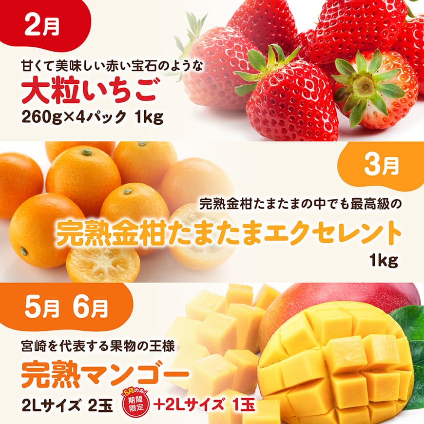 ※期間限定※【6ヶ月定期便】大人気くだもの定期便Vol.3 【 川南町産 くだもの いちご イチゴ きんかん マンゴー シャインマスカット ピオーネ  】[C11714t6]