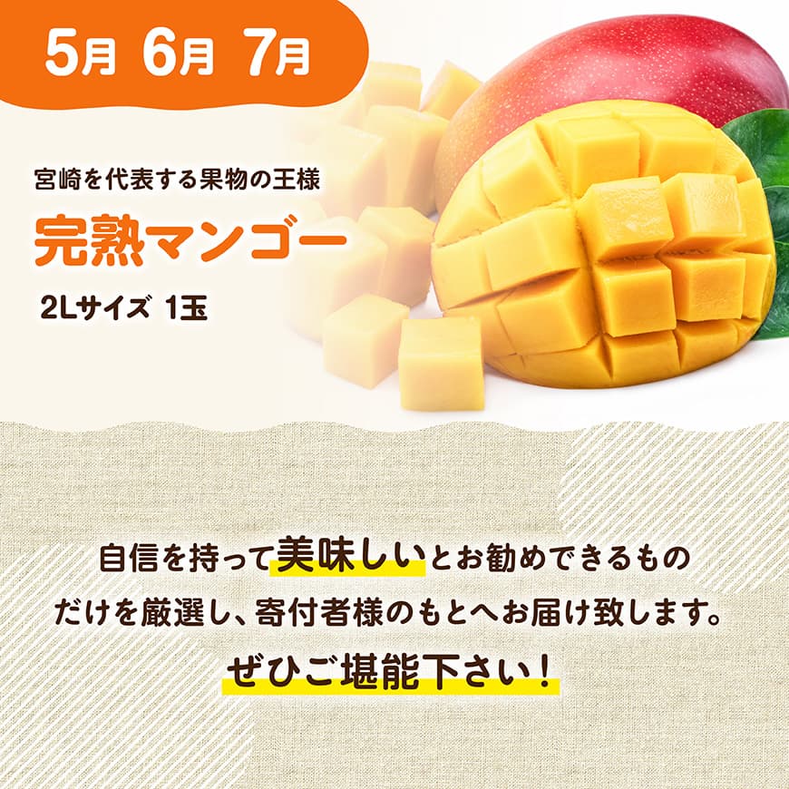 【3ヶ月定期便】完熟マンゴー定期便Vol.1 【 川南町産 くだもの マンゴー  】[C11706t3]