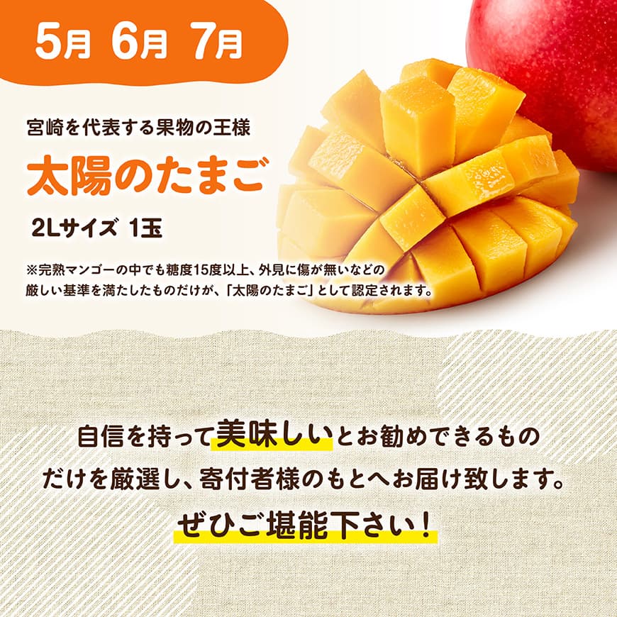 【3ヶ月定期便】選ばれし太陽のたまご定期便Vol.1 【 川南町産 くだもの マンゴー  】[C11708t3]