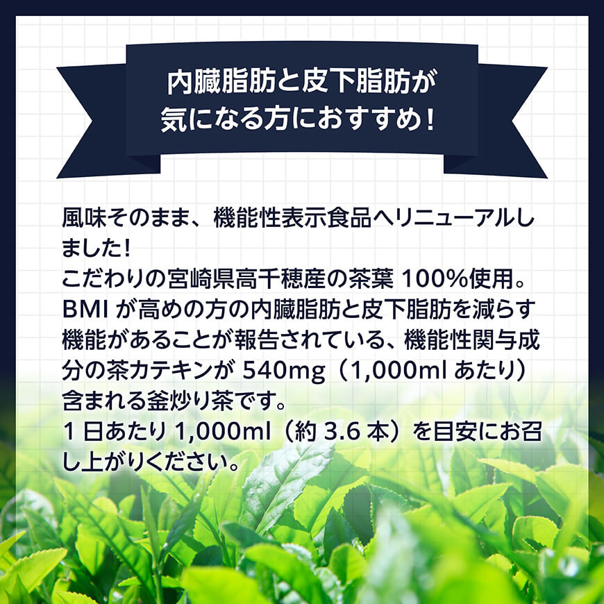 【3ヶ月定期便】 サンA 濃い味釜炒り茶(機能性表示食品)PET（280ml×48本） 【 お茶 釜炒り茶 飲料お茶 ペットボトルお茶 長期保存お茶 備蓄お茶 】[D03006t3]