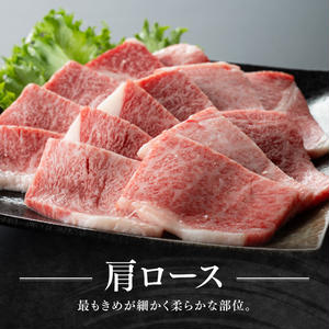 【令和8年3月発送】宮崎牛赤身(ウデorモモ)霜降り焼肉2種400g 【 肉 牛肉 国産 宮崎県産 黒毛和牛 和牛 焼肉 やきにく BBQ 4等級 A4ランク うで モモ 肩ロース ロース 】 [D11123r803] 【令和8年3月発送】