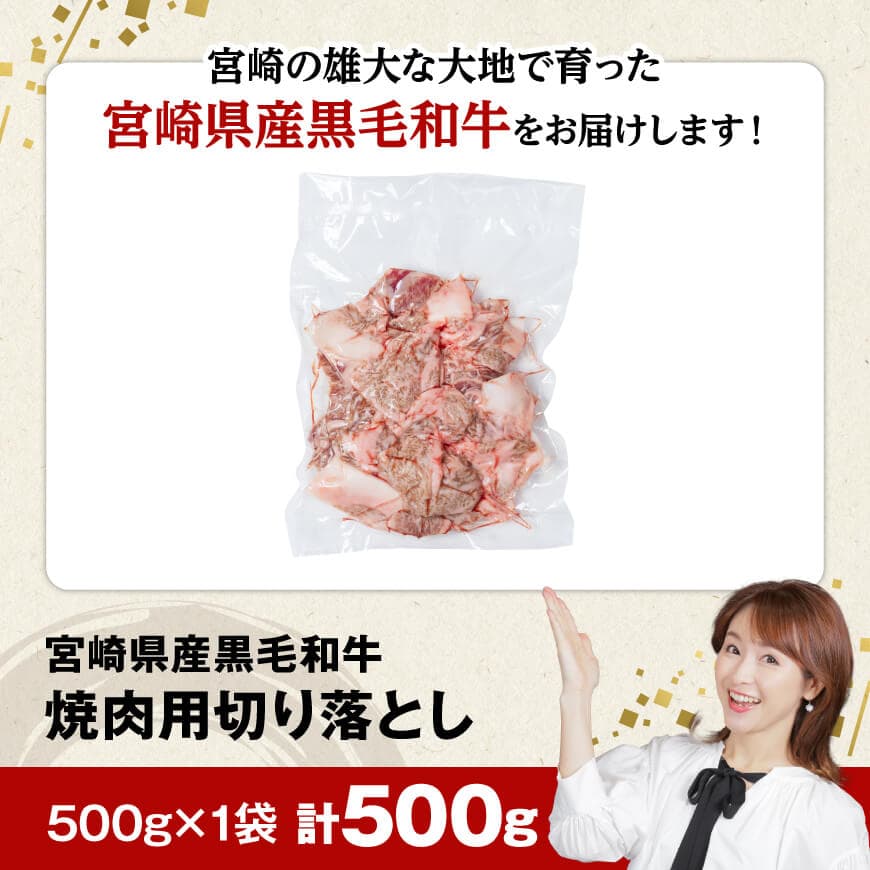 【数量限定】宮崎県産黒毛和牛焼肉用切り落とし500g 【 牛肉 国産 宮崎県産 宮崎牛 BBQ 焼肉用牛肉 国産牛肉 九州産牛肉 宮崎県産牛肉 送料無料 】[D11303]