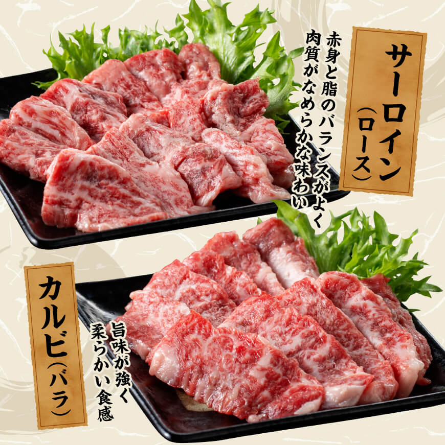 宮崎牛 焼肉 食べ比べ 3種盛 300g 【 肉 牛肉 国産 宮崎県産 黒毛和牛 和牛 焼肉 バーベキュー 】[D11416]