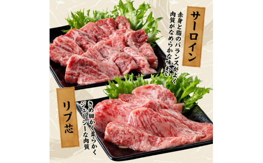 宮崎牛 焼肉 食べ比べ 6種盛 600g 【 肉 牛肉 国産 宮崎県産 黒毛和牛 和牛 焼肉 バーベキュー 】[D11417]