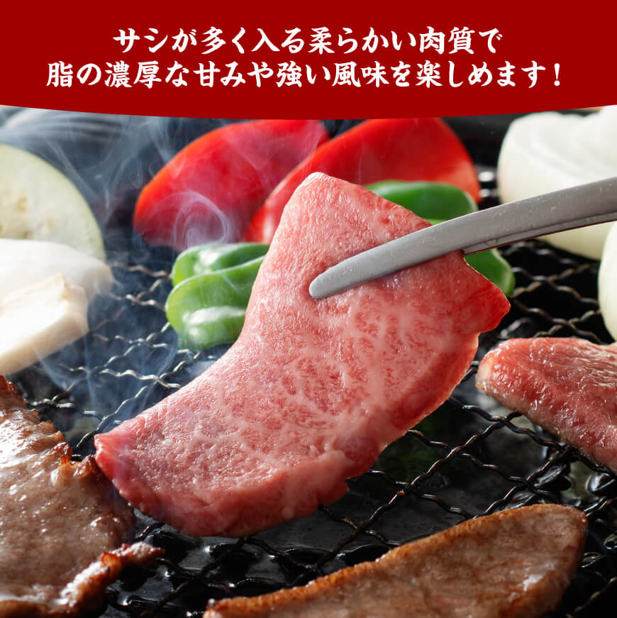 宮崎牛 特上カルビ 焼肉用 （三角バラ） 合計600g【 肉 牛肉 国産 宮崎県産 黒毛和牛 特上 カルビ 】[D11420]