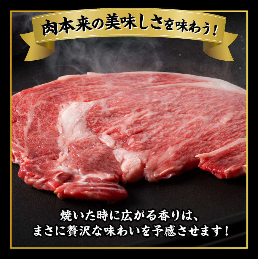 宮崎牛 サーロインステーキ 600g 【 肉 牛肉 国産 宮崎県産 黒毛和牛 サーロインステーキ 】[C11408]