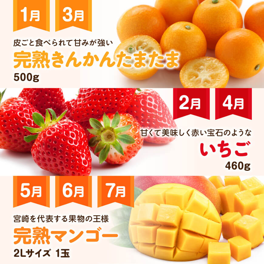 【全9回定期便】フルーツ満喫定期便　川南町産フルーツくだものフルーツきんかん果物フルーツいちごくだものフルーツ完熟マンゴー果物フルーツぶどうフルーツピオーネフルーツシャインマスカットフルーツ[D11701t9]