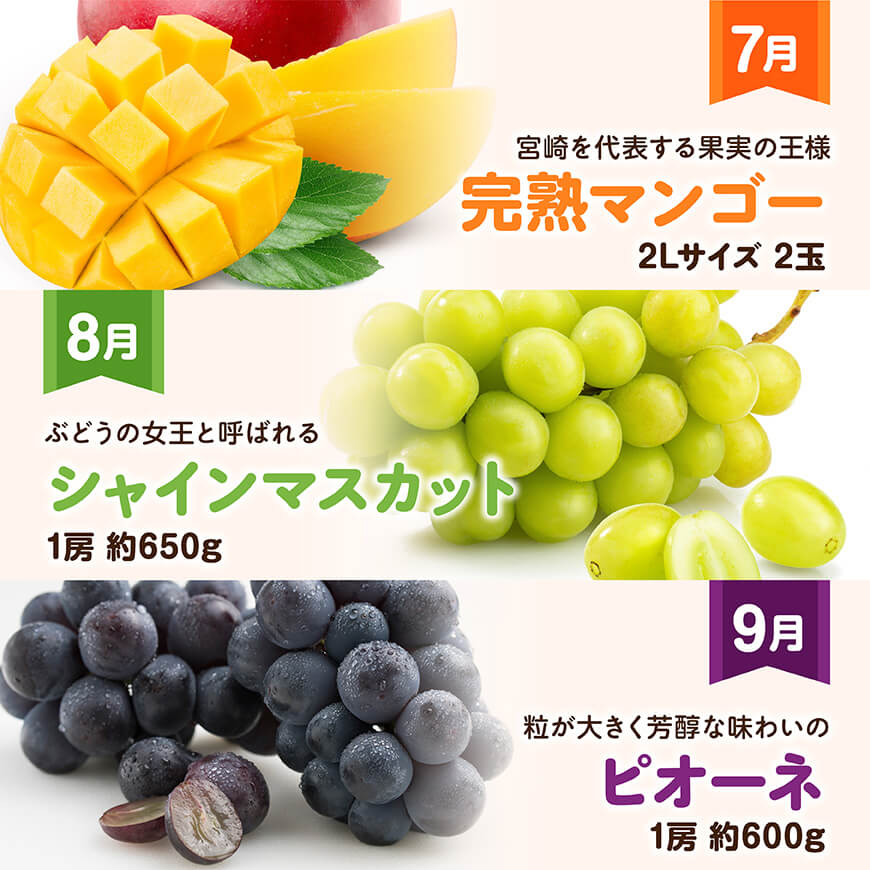 【12ヶ月定期便】デラックス定期便　川南町産フルーツくだものフルーツきんかんくだものフルーツいちご果物フルーツ完熟マンゴー果物フルーツぶどうフルーツピオーネフルーツシャインマスカットフルーツ大玉メロンフルーツ[D11717t12]