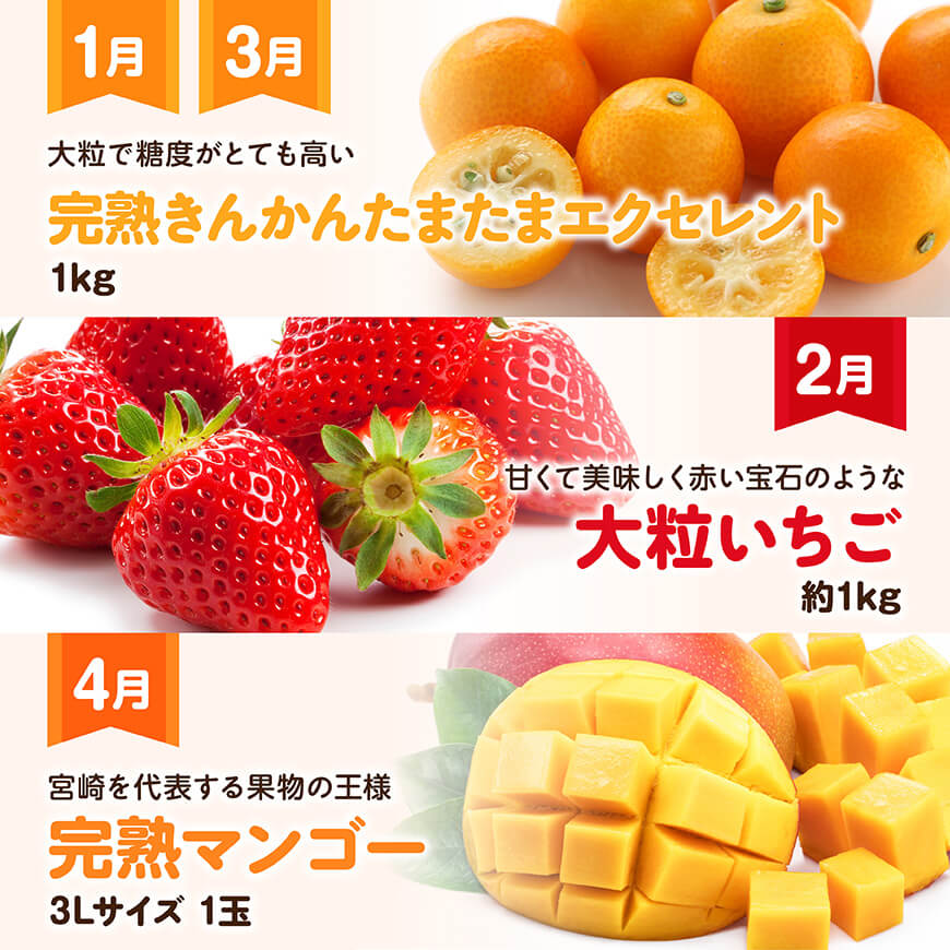 【12ヶ月定期便】超プレミアムデラックス定期便　川南町産フルーツくだものフルーツきんかんくだものフルーツいちご果物フルーツ完熟マンゴー果物フルーツぶどうフルーツピオーネフルーツシャインフルーツマスカットフルーツ大玉メロン[D11718t12]