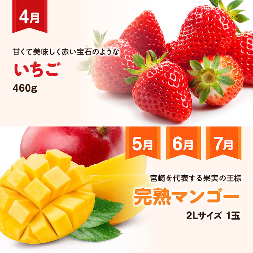 【全6回定期便】【いいとこどり】大人気くだもの定期便　川南町産フルーツくだものいちごフルーツくだもの完熟マンゴーフルーツ果物ぶどうフルーツ果物ビオーネフルーツシャインフルーツマスカットフルーツ[D11704t6]