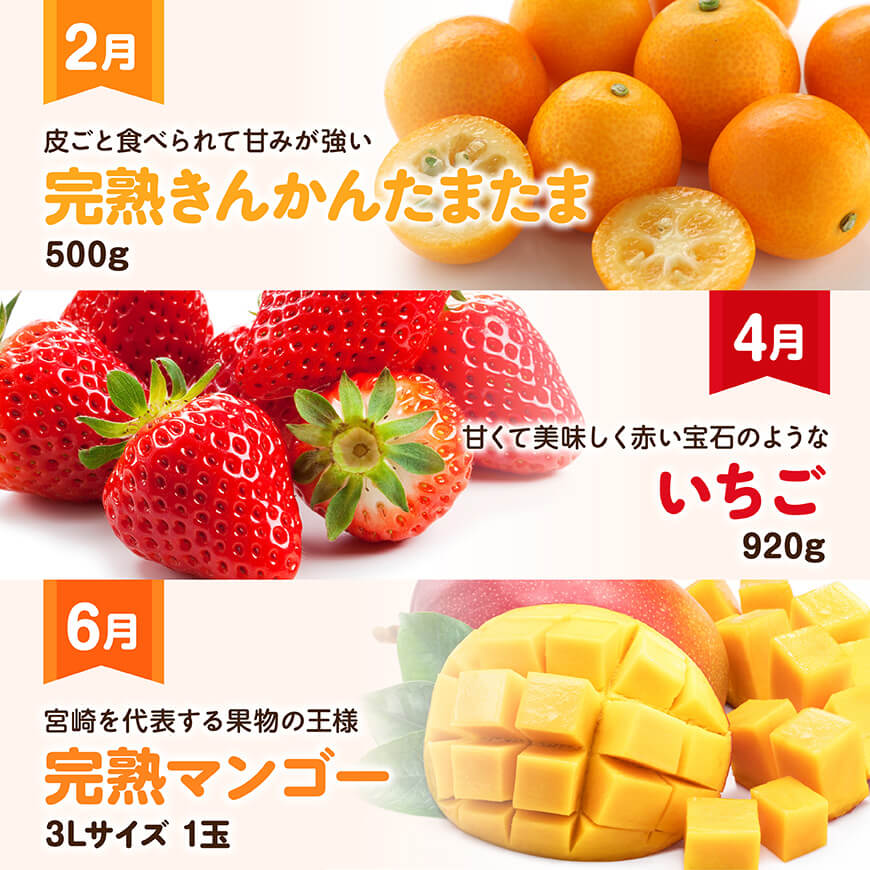 【全6回定期便】デラックス定期便【偶数月】　川南町産フルーツきんかんくだものフルーツいちごくだものフルーツ完熟マンゴー果物フルーツぶどうフルーツシャインマスカット果物フルーツメロンフルーツ[D11705t6]