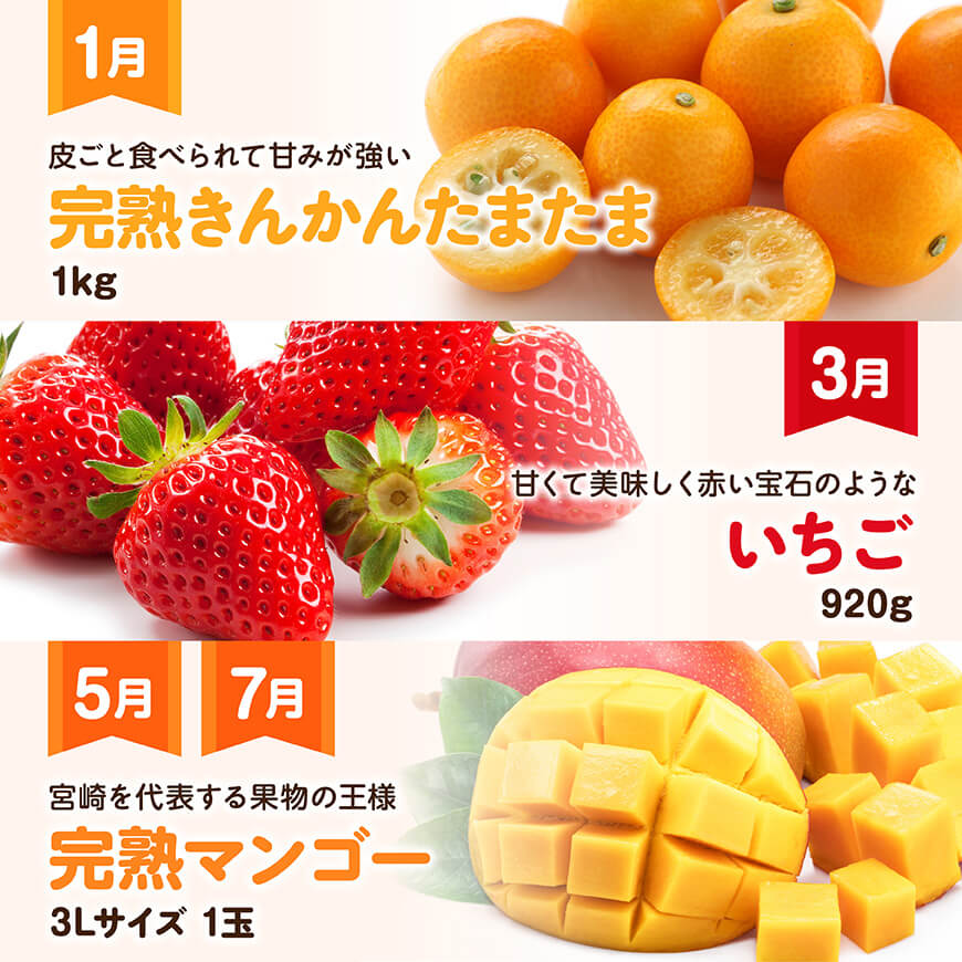 【全6回定期便】デラックス定期便【奇数月】　川南町産フルーツきんかんフルーツくだものいちごフルーツくだもの完熟マンゴーフルーツ果物ぶどうフルーツピオーネ果物フルーツ赤肉フルーツメロンフルーツ[D11706t6]