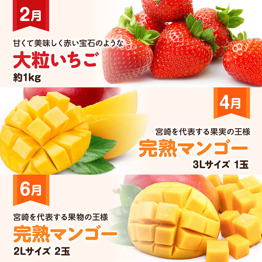 【全6回定期便】プレミアムデラックス定期便【偶数月】　川南町産フルーツいちごくだものフルーツ完熟マンゴーフルーツくだものぶどうフルーツ果物シャインマスカットフルーツメロン果物フルーツ[D11719t6]