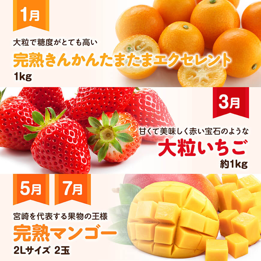 【全6回定期便】プレミアムデラックス定期便【奇数月】　川南町産フルーツきんかんくだものフルーツいちごくだものフルーツ完熟マンゴー果物フルーツぶどうフルーツピオーネフルーツ果物赤肉メロンフルーツ[D11716t6]