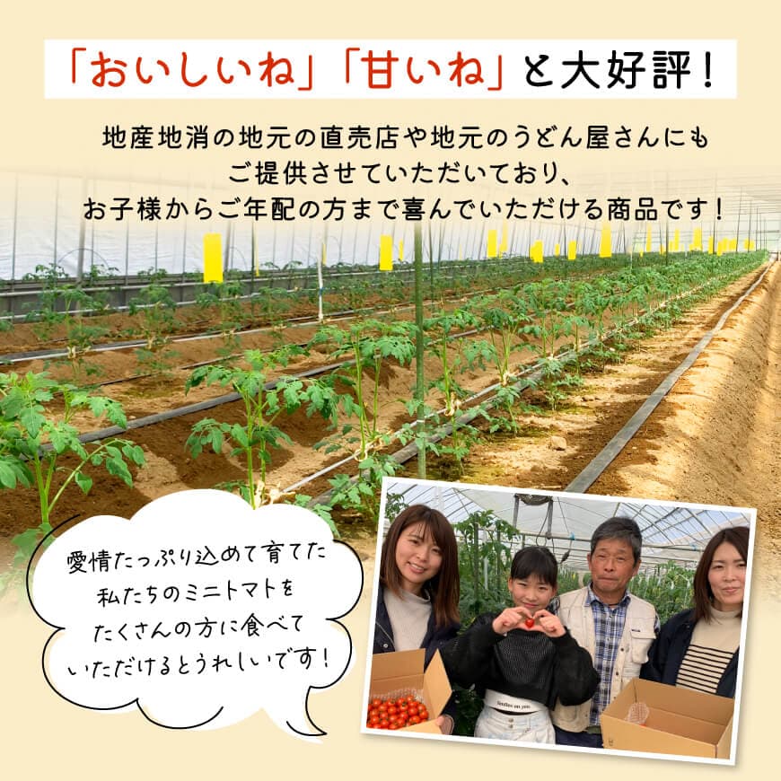 宮崎県産完熟ミニトマト「アルル」1kg 【 新鮮 アルル ミニトマト とまと 野菜 産地直送 宮崎県産川南町産 送料無料 】[C11801]