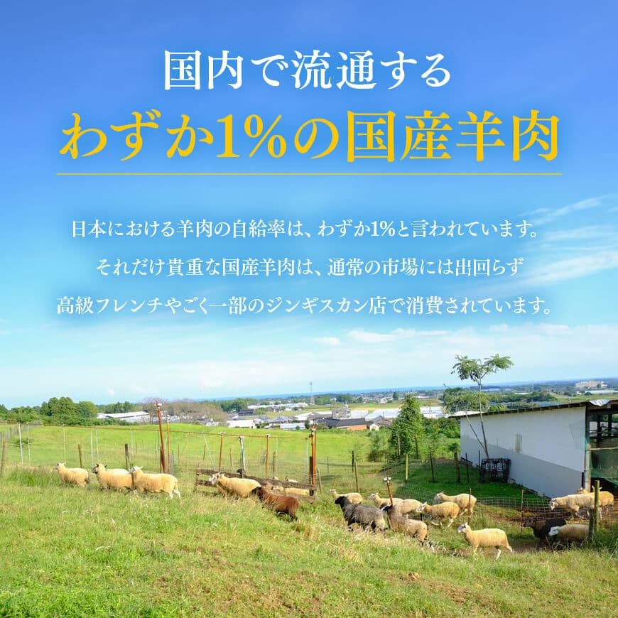 宮崎県産羊肉　寿ジンギスカン300g 【 肉 羊肉 国産 九州産 川南町産 ジンギスカン 羊 ひつじ 味付き 】[D11903]