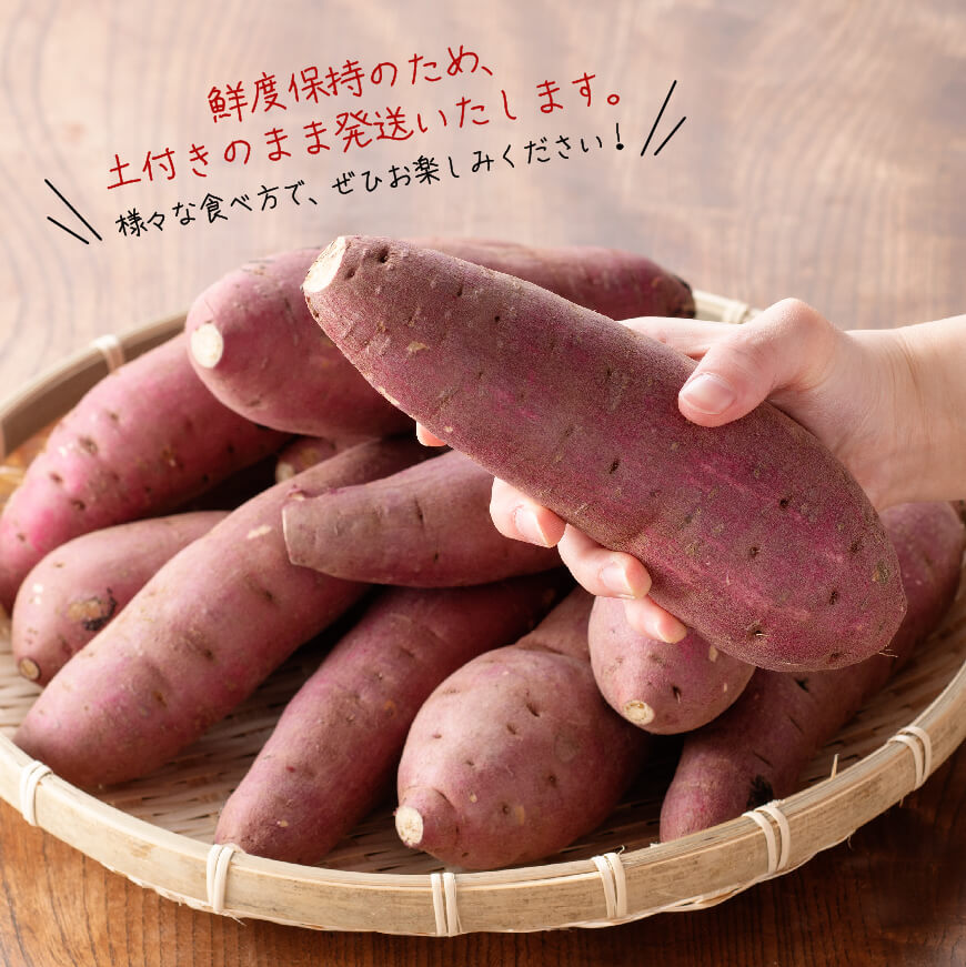 宮崎県産さつまいも　紅はるか5kg 【 宮崎県産 九州産 いも 芋 サツマイモ 野菜 】[C10005]