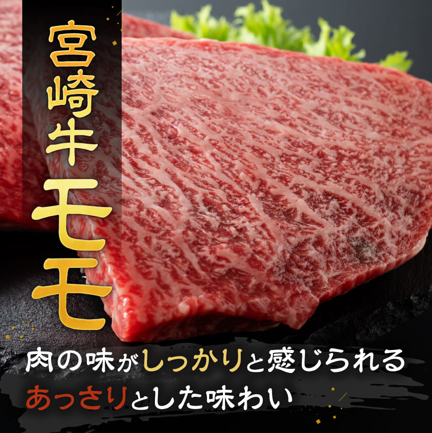 【令和8年3月発送】宮崎牛 ステーキ 2種 600g 【 肉 牛肉 国産 宮崎県産 宮崎牛 黒毛和牛 和牛 ステーキ BBQ 4等級 A4ランク ロース モモ 】[E11118r803] 【令和8年3月発送】