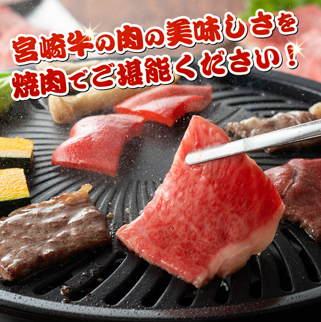 【令和8年1月発送】宮崎牛霜降り焼肉 700g (350g×2) 【 肉 牛肉 国産 宮崎県産 宮崎牛 黒毛和牛 和牛 焼肉 BBQ 4等級 A4ランク 肩ロース 】[E11122r801] 【令和8年1月発送】