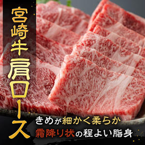 【令和8年2月発送】宮崎牛赤身霜降り焼肉2種 800g 【 肉 牛肉 国産 宮崎県産 宮崎牛 黒毛和牛 和牛 焼肉 BBQ 4等級 A4ランク 肩ロース ウデ モモ 】[E11124r802] 【令和8年2月発送】
