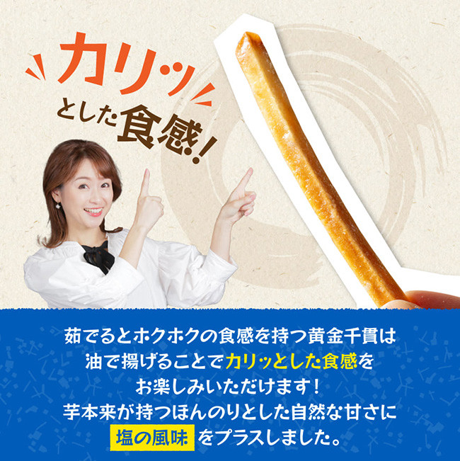 塩かりんとう75g×12袋 【芋 さつまいも 宮崎県産 かりんとう お菓子 】[E11144]