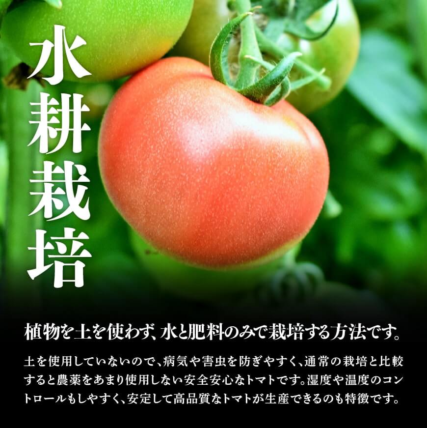 宮崎県産トマト　とこうさんのトマト1kg（9～18個）【 宮崎県産 九州産 川南町産 トマト とまと 野菜 ヘルシー】 [C06601]