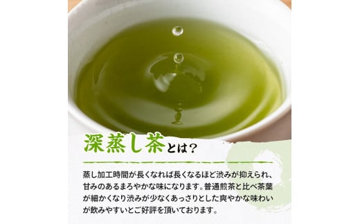 宮崎県産茶　深蒸煎茶（赤）100ｇ10袋セット 【 九州産 宮崎県産 川南町産 茶 お茶 国産茶 飲料 日本茶 飲みやすい 使いやすい 】[C08701]