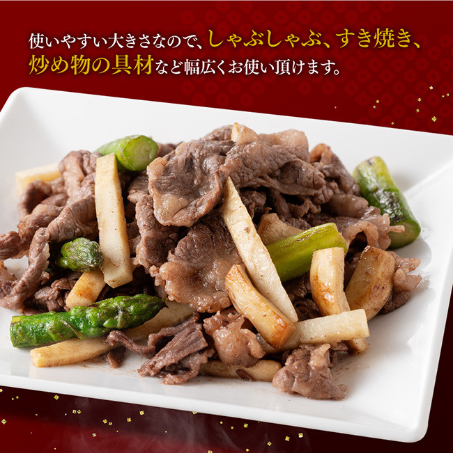 宮崎県産黒毛和牛 切り落とし 600g 【 肉 牛肉 黒毛和牛 精肉 】 [G0511]