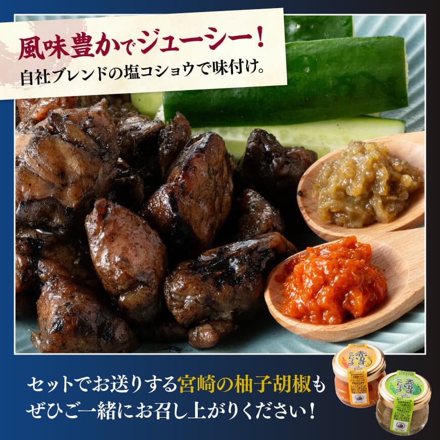 鶏の炭火焼（宮崎の技セット）　炭火焼 ゆずこしょう 鶏肉[H1404]