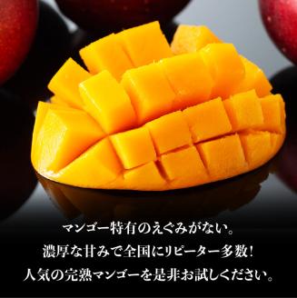 【令和8年発送】宮崎マンゴー 太陽の子６玉（2.7kg以上） 【 果物 フルーツ マンゴー 宮崎県産 みやざきマンゴー 】 [C06703]