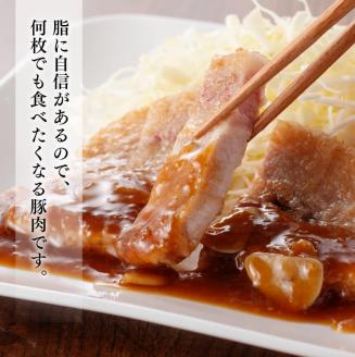 宮崎県産豚肉 小野さんちの豚ロースステーキ 3kg 【 豚肉 豚 肉 宮崎県産 小分け 6パック 】［E10507］