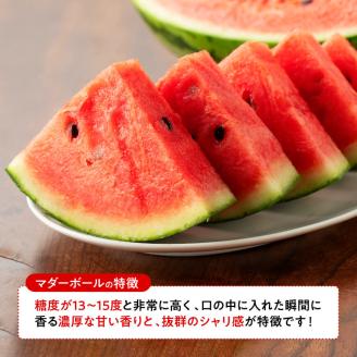 【令和8年産】宮崎県産　小玉スイカ（マダーボール）2玉 【 数量限定 国産 宮崎県産 西瓜 フルーツ 果物 】[C10701]