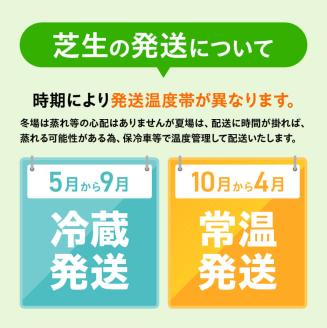 老舗日向芝産「姫高麗芝」2平方メートル 【 2㎡ 九州産 川南町産 宮崎県産 芝生 日本芝 ガーデニング 】[F10302]