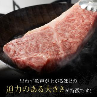 宮崎牛ワンポンドステーキ454ｇ 【 肉 牛肉 A4～A5等級 宮崎牛 BBQ アウトドア 記念日 日本ハム 焼肉 】［E11006］