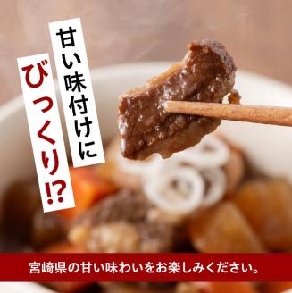 根菜の煮込み（牛すじ入）1.2㎏ 【 野菜 国産 牛 黒毛和牛 宮崎県産 牛肉 牛すじ ボリューム 】［E0501］
