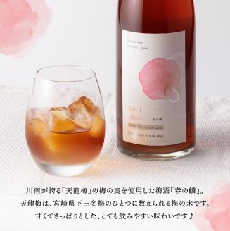 【数量限定】オリジナル本格焼酎「トロントロン(25度)」と梅酒「春の鱗」のセット【 お酒 アルコール 酒 焼酎 】[F5602]
