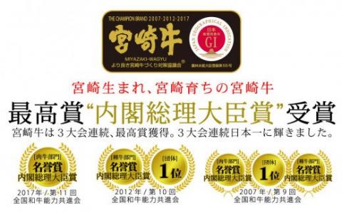 宮崎牛 こま肉＆ミンチセット 1kg　牛肉[G7409]