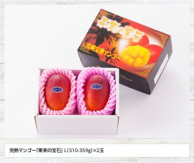 【先行予約】【令和8年発送】宮崎県産完熟マンゴー「果実の宝石」　L×2玉 【 果物 フルーツ マンゴー 宮崎県産 みやざきマンゴー 先行予約 数量限定 期間限定 】[C03701]
