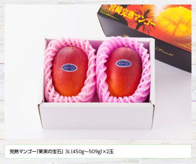 【先行予約】【令和8年発送】宮崎県産完熟マンゴー「果実の宝石」　3L×2玉 【 果物 フルーツ マンゴー 宮崎県産 みやざきマンゴー 先行予約 数量限定 期間限定 】[C03704]