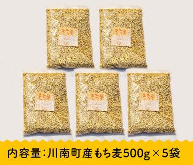 令和7年産 もち麦 2.5kg（500g×5袋） 【 ふるさと納税 国産 麦 もち麦 食物繊維 数量限定 宮崎県産 川南町産 送料無料 】 [C05401]