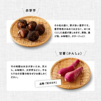【定期便】産直おすず村 季節の野菜と果物 厳選 詰め合わせセット（小） 【 旬野菜 フルーツ 直売所 産地直送 宮崎県産 】[G3802]