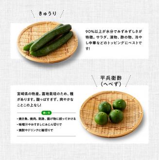 【定期便】産直おすず村 季節の野菜と果物 厳選 詰め合わせセット（大） 【 旬野菜 フルーツ 直売所 産地直送 宮崎県産 】[G3804]