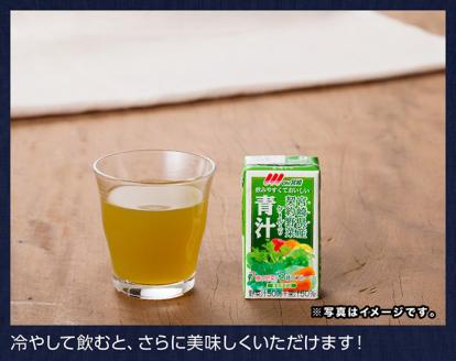 【定期便】宮崎青汁 125ml×48本セット 3ケ月定期便【野菜飲料 健康飲料 ケール やさい 健康 美容 全3回】[F3013t3]