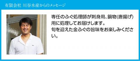 金ふぐ(シロサバフグ) 刺身・鍋・唐揚げ用セット【 国産 宮崎県産 魚 魚貝類 魚介類 河豚 フグ さしみ 唐揚げ 鍋 真空パック 】[C04407]