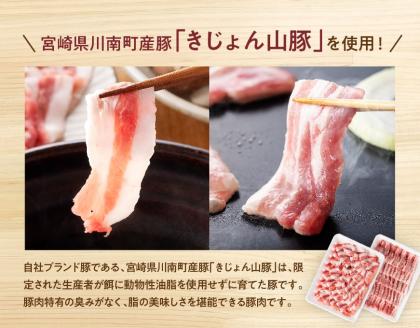 山豚ロースしゃぶ・バラ焼肉セット　豚肉[G7518]