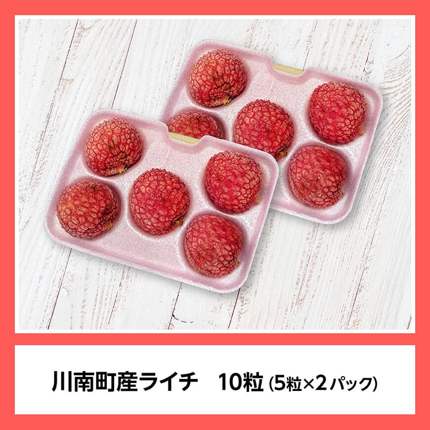 【令和8年産】川南町産ライチ（大粒）10粒(5粒×2パック) 【 国産ライチ フルーツ デザート 宮崎県産 】 [C03203]