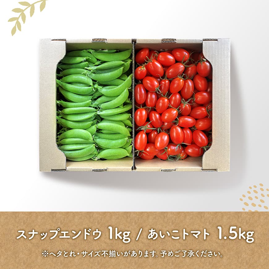 【令和8年発送】宮崎県産　あいこトマト1.5kg　&　スナップエンドウ1kg 【 野菜 ミニトマト とまと スナップエンドウ 宮崎県産 川南町産 野菜 産地直送 新鮮 数量限定 】[C03906]