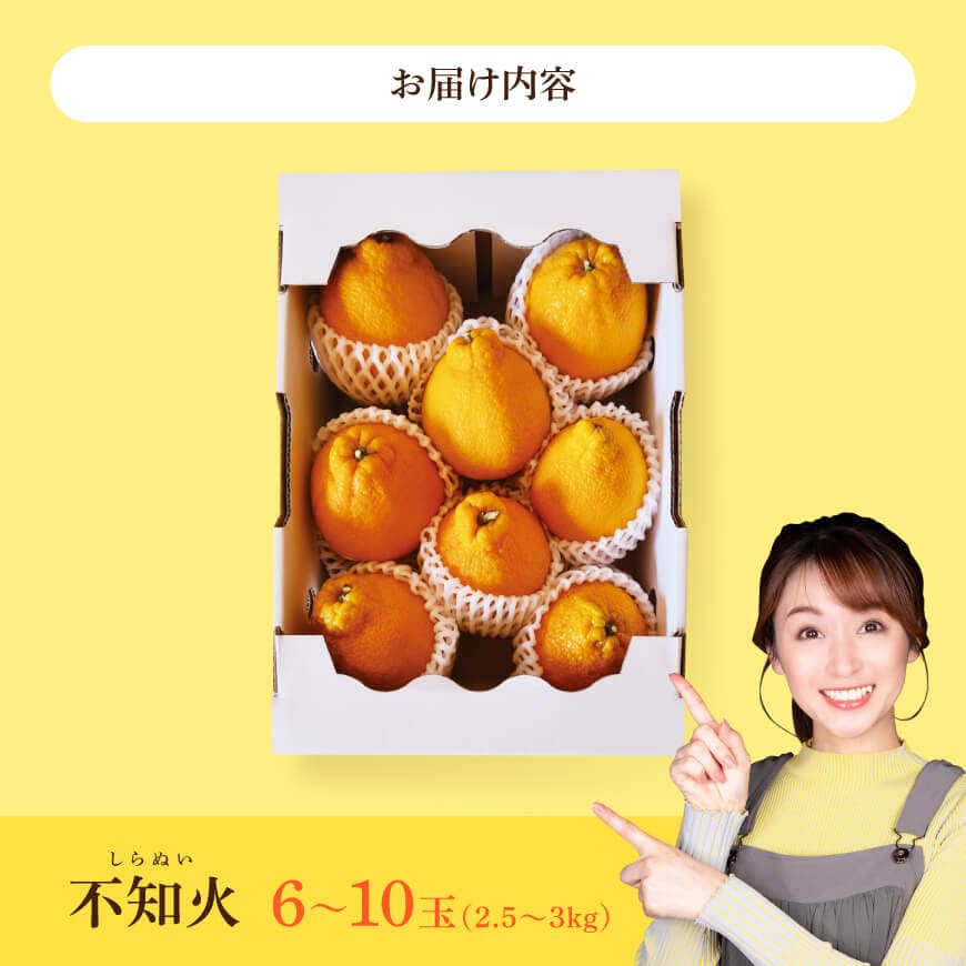 宮崎県川南町産「不知火（しらぬい）」６～１０玉 【 果物 くだもの フルーツ しらぬい 不知火 デコポン みかん 】 [C06705]